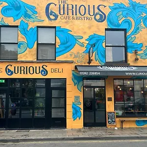 The Curious Apartment, Bed & Breakfast